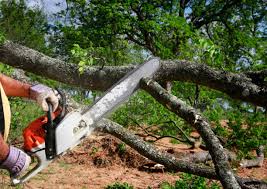 Best Seasonal Cleanup (Spring/Fall)  in Spencer, OK